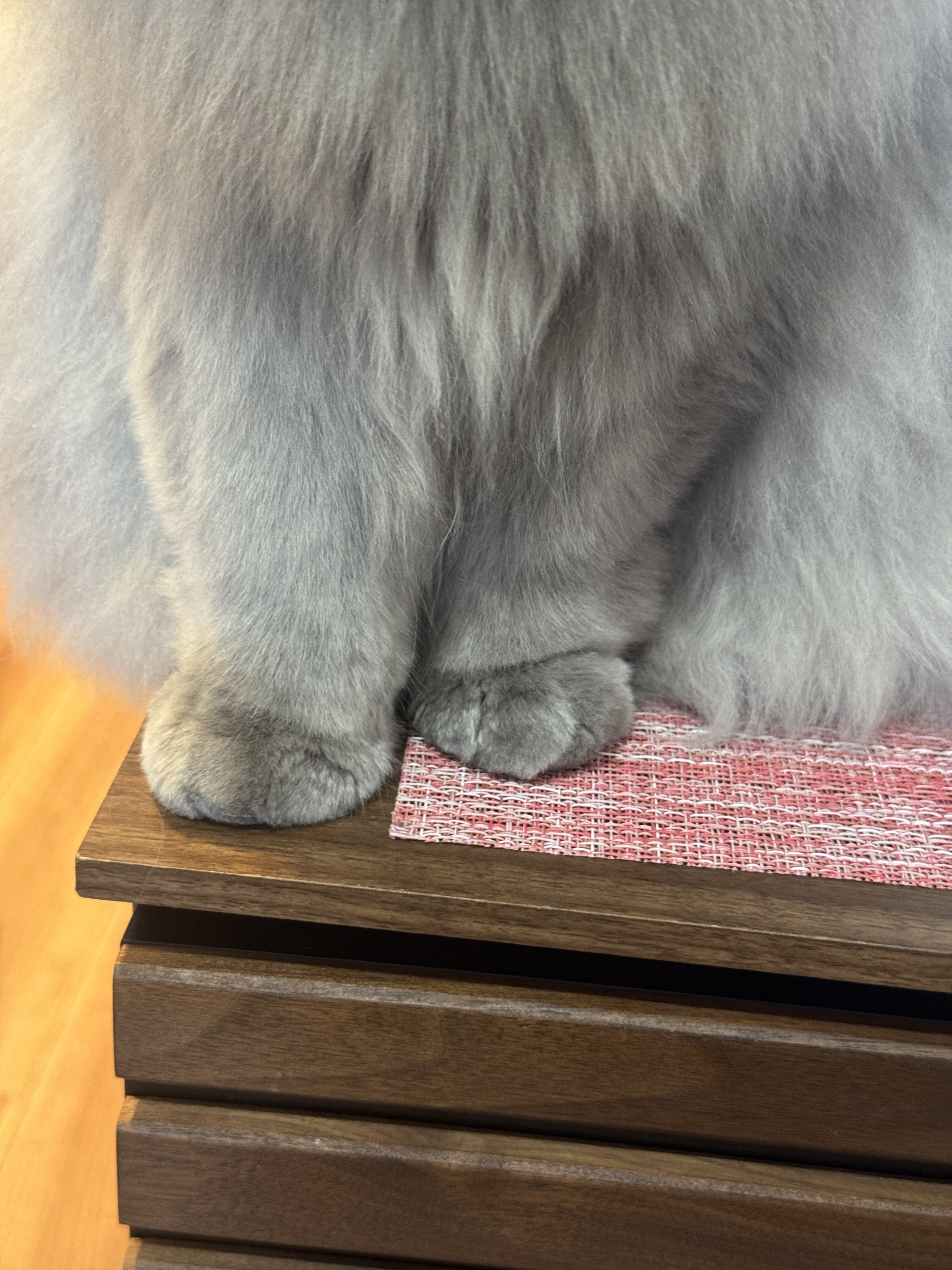 もも（勘吉のママ） (@KUwdn) / X