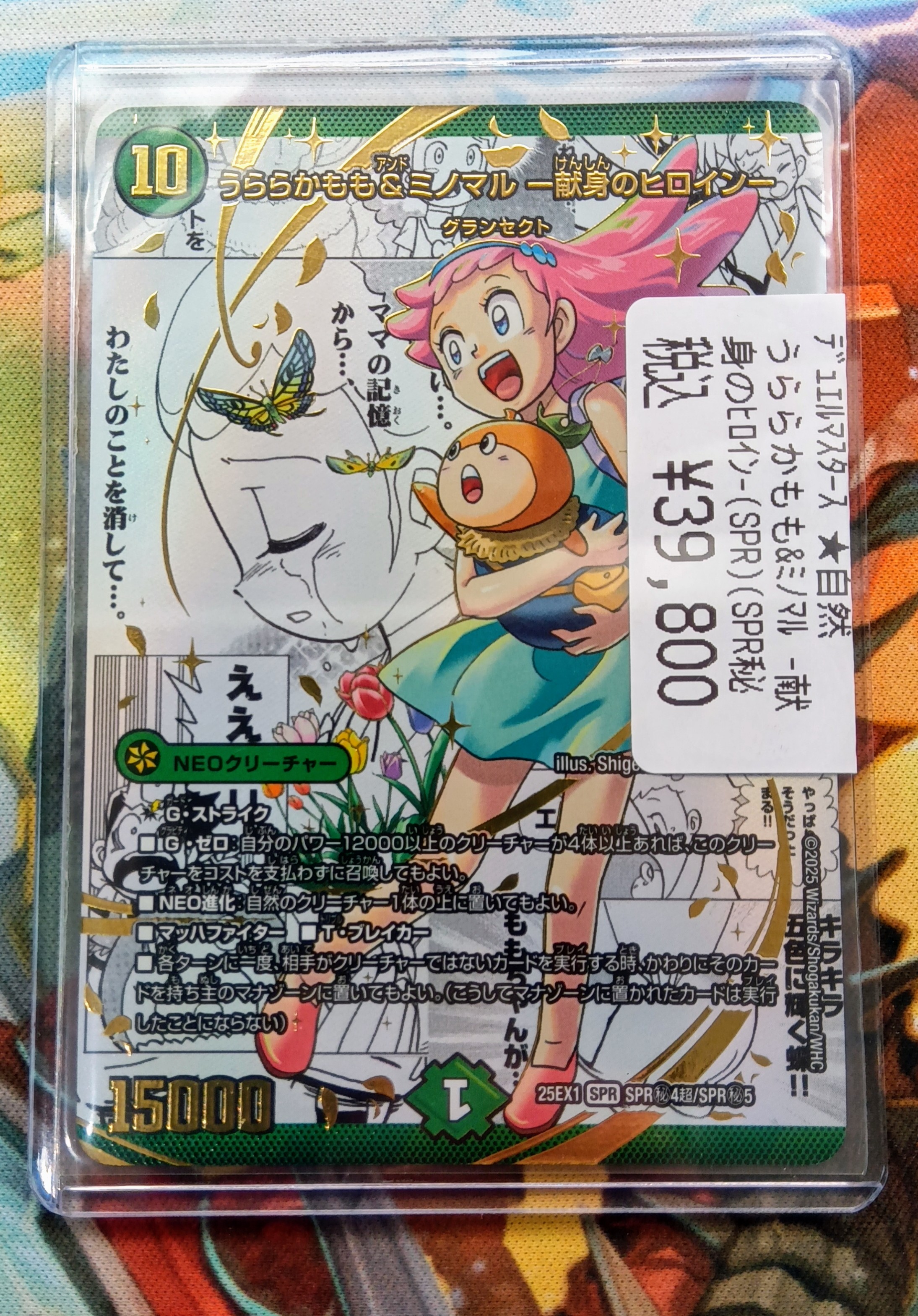 書 アート SHIZUKU - しずく - カントク 20th Anniversary ArtWorks