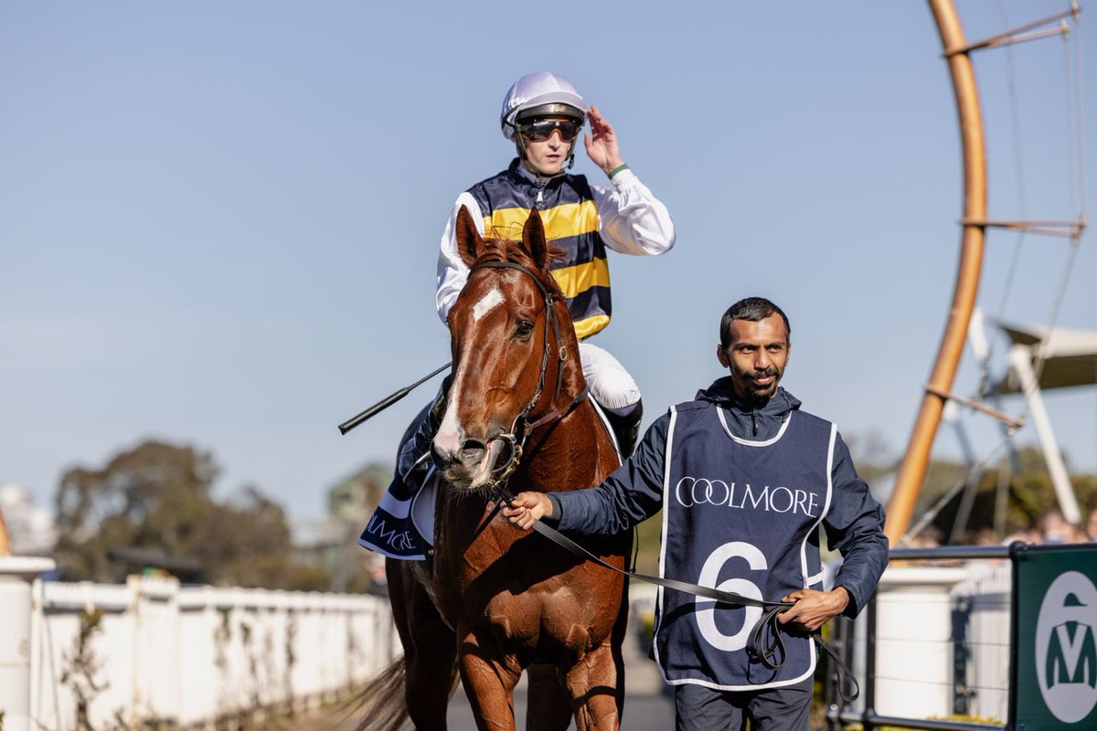 Great day for the team on both sides of the border 🔥

 Mormona produced a brilliant staying performance to take out the Flemington Cup, while Yoshinobu returned a gelding claiming the Coolmore Handicap 👏

Congratulations to <a href="/grantjmorgan/">ONTRACK</a>, <a href="/OTIRacing/">OTI Racing</a> &amp; all of our connections!