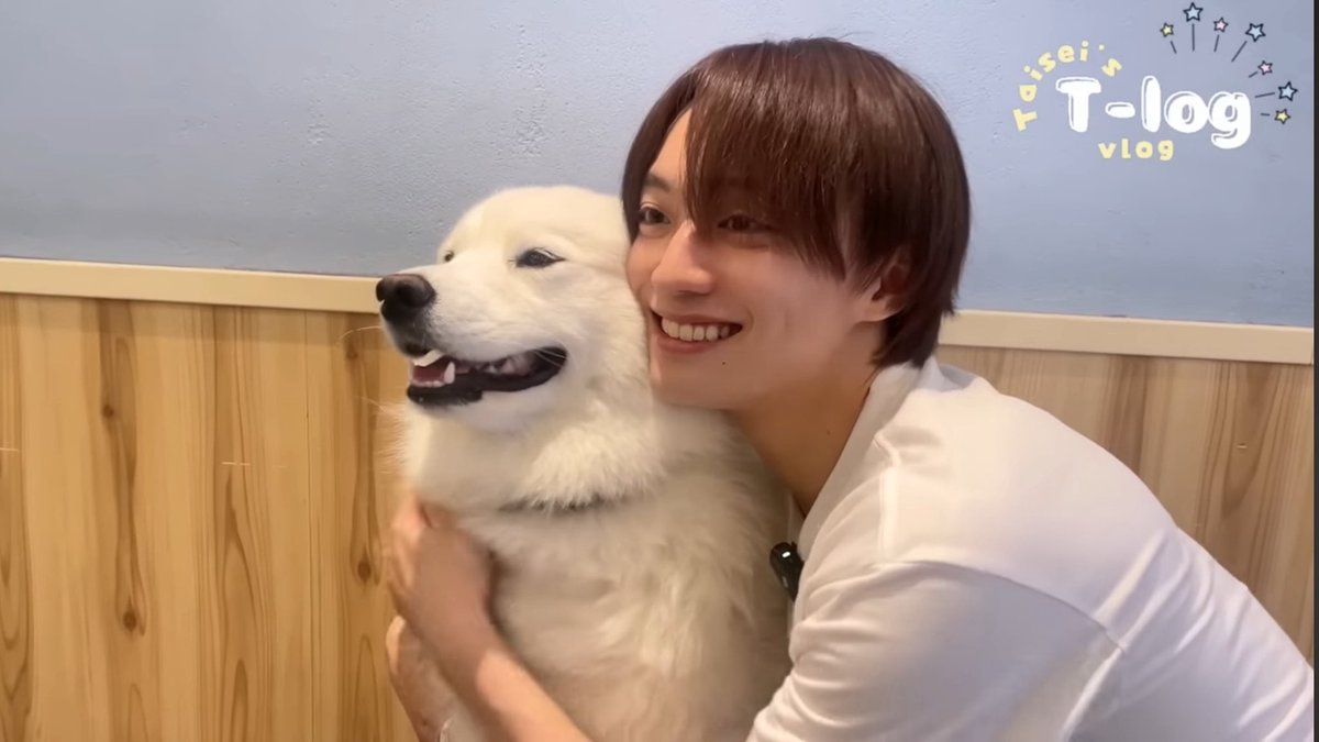 ikusskagtai's tweet photo. めっちゃ癒された〜
大晴くんもリラックスしてて良かった💕
優しい顔してるね😊
#大晴ちゅーぶ #T_log https://t.co/0Y1xy9ORIO