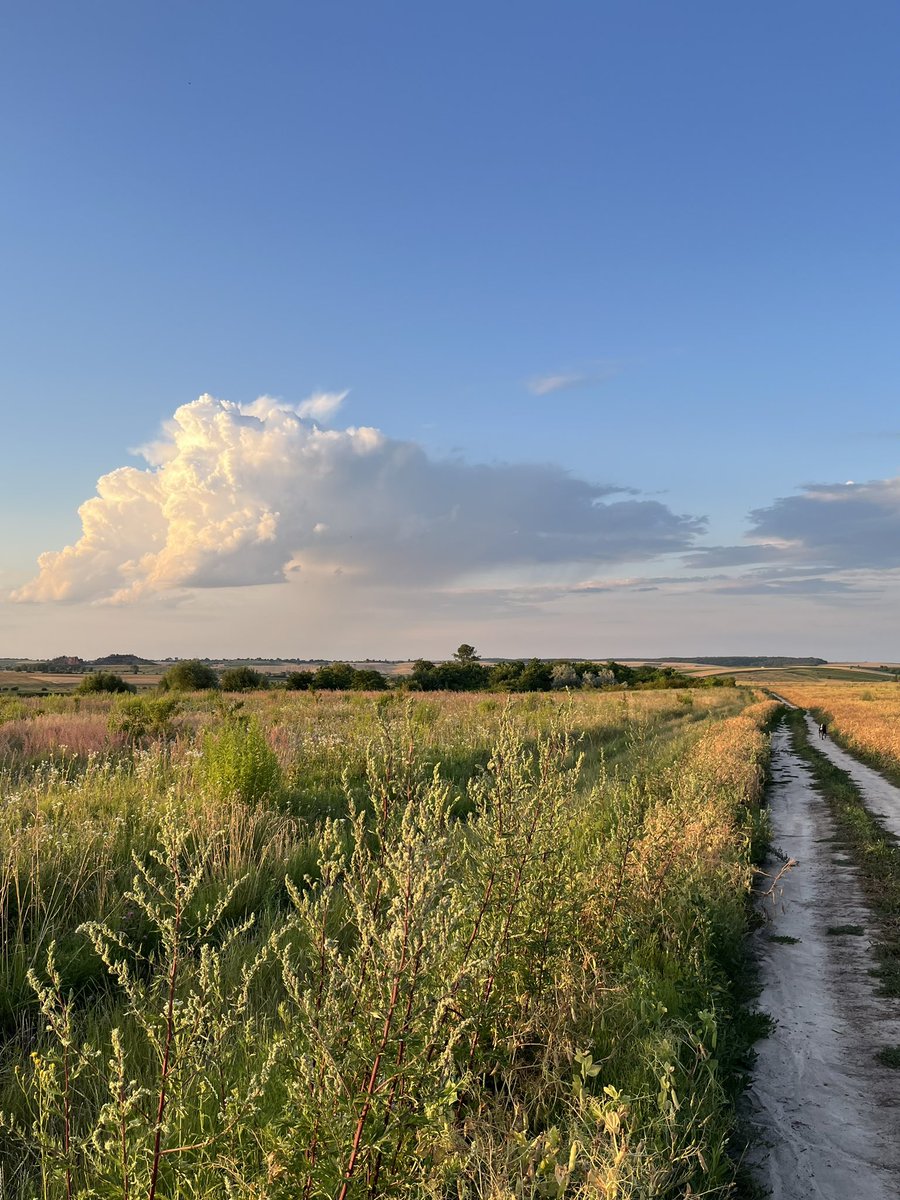 living_in_ua's tweet photo. https://t.co/vqcthSum4M