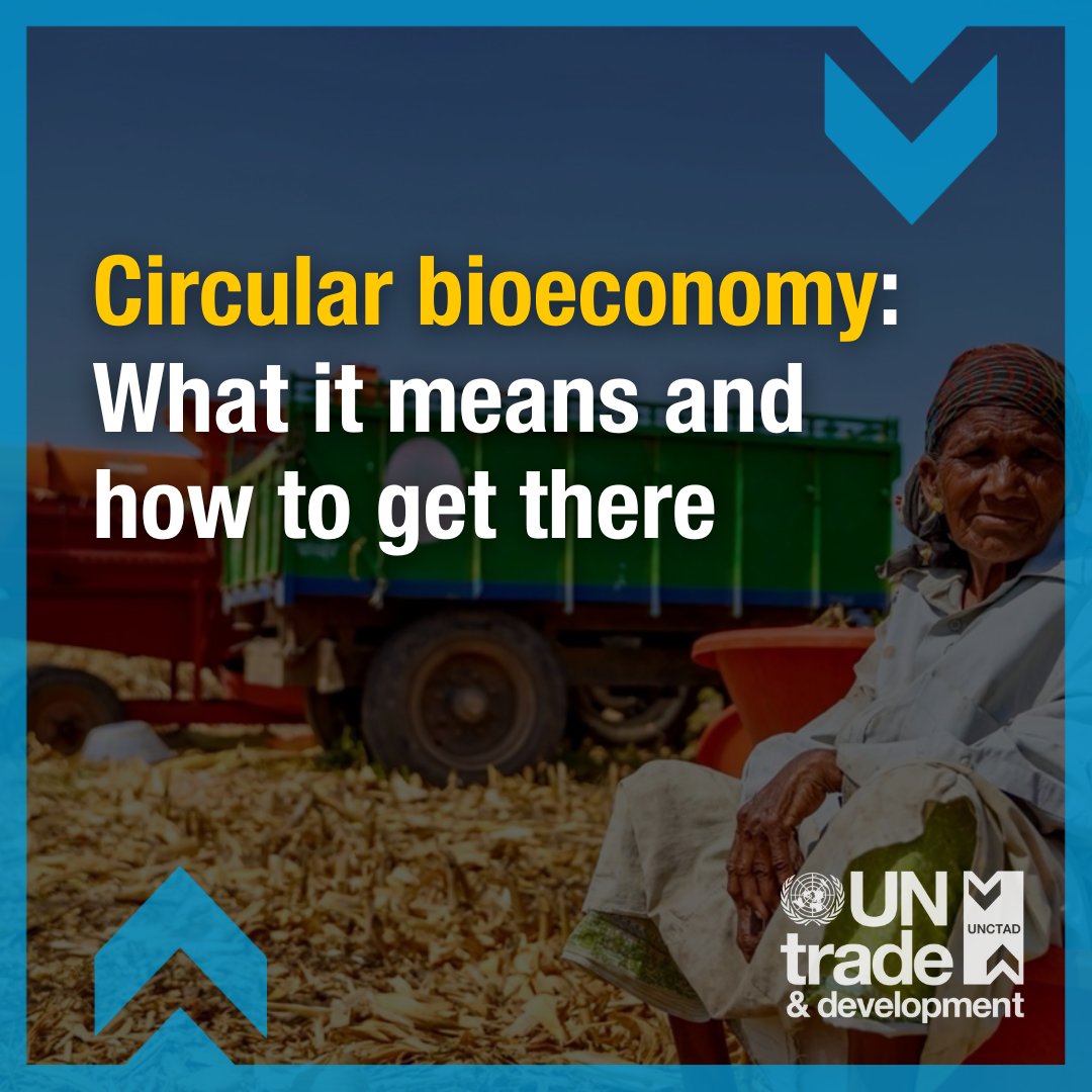 UNCTAD's tweet image. ♻️Circular bioeconomy: What it means and how to get there
By integrating the circular economy and the bioeconomy, countries can power development, curb waste and use natural resources more sustainably.
But how? ▶️ ow.ly/WsvN50W1ZkX