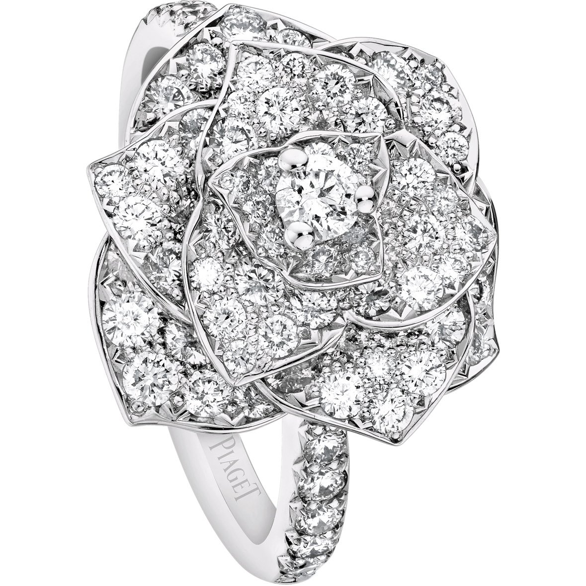 IU wore Piaget jewelry at the Blue Dragon Series Awards.

- Piaget Treasures earrings(price on demand)

- Piaget Rose Ring: $16,300

<a href="/_IUofficial/">아이유(IU)</a> #IU #아이유 #IUfashion #Piaget