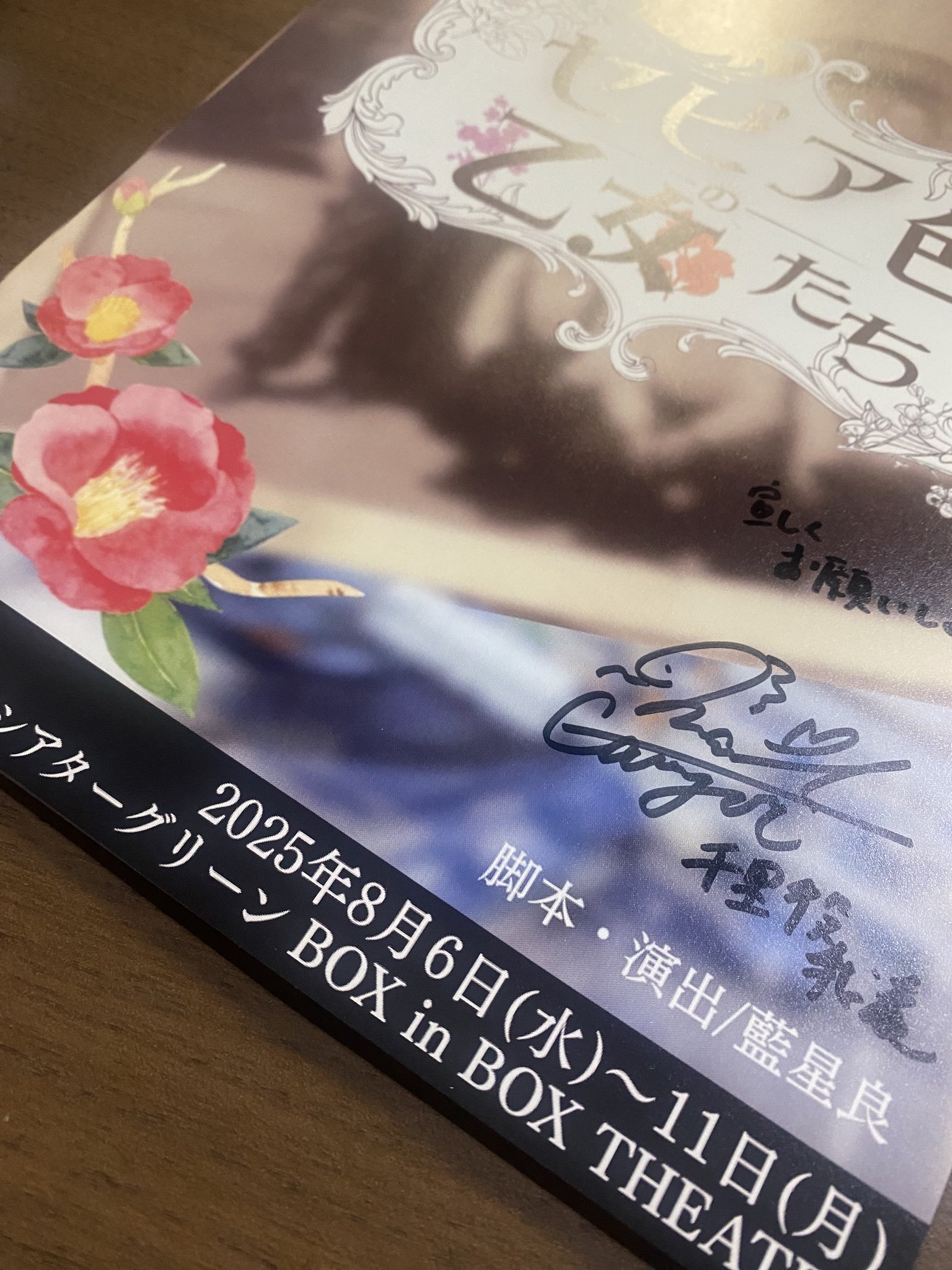 ヴィジュアル系 フライヤー チラシ ステッカー 妃阿甦 流美那寿 デモテープ Images of flyers from THE PIASS (妃阿甦) | vkgy (ブイケージ)