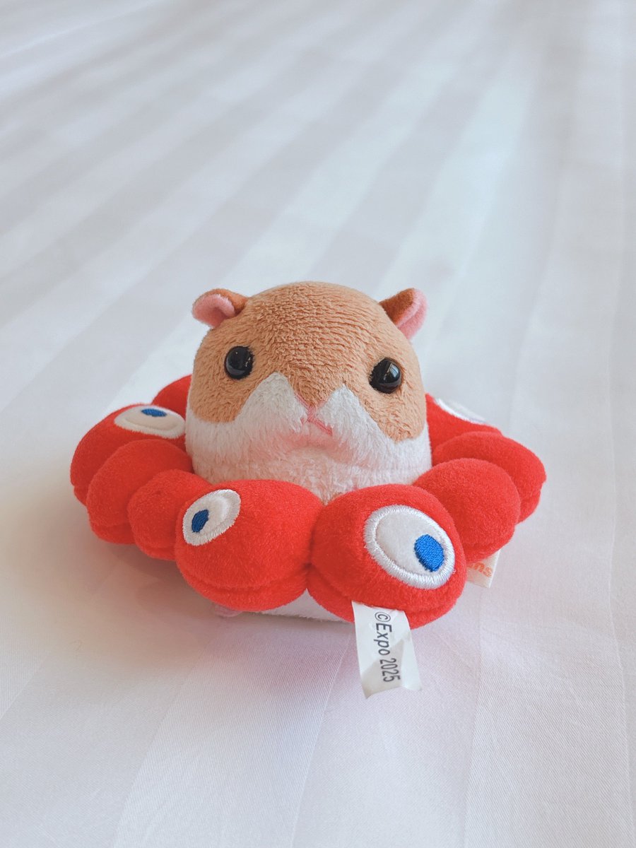 🍼 ﾀﾁｹﾃ!!!
🐹 うきわ みたぃ なちゃた