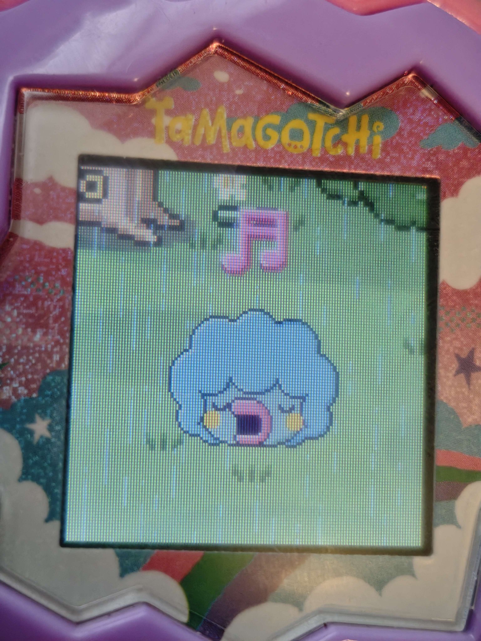 たまさんS たま / さんだる CD axcr-1｜Yahoo!フリマ（旧PayPayフリマ）