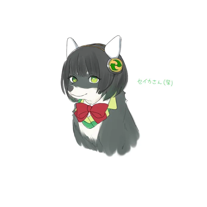 セイカさん(柴)