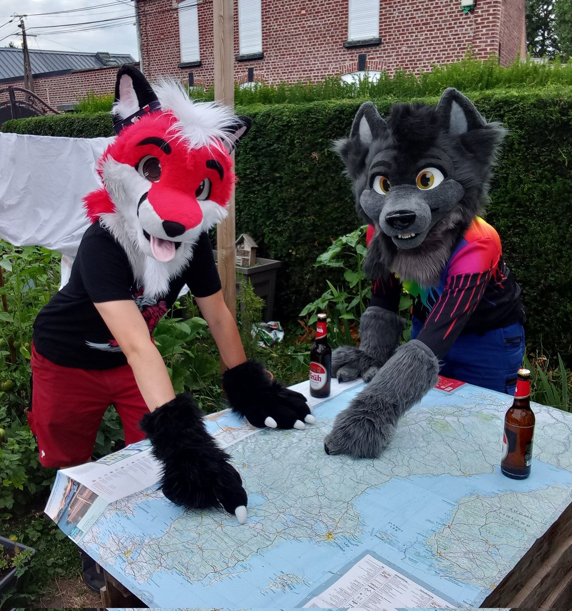Swedish trip time ! 
<a href="/SzurkyWolf/">Szürky Farkas @NFC</a> 
Late #FursuitFriday