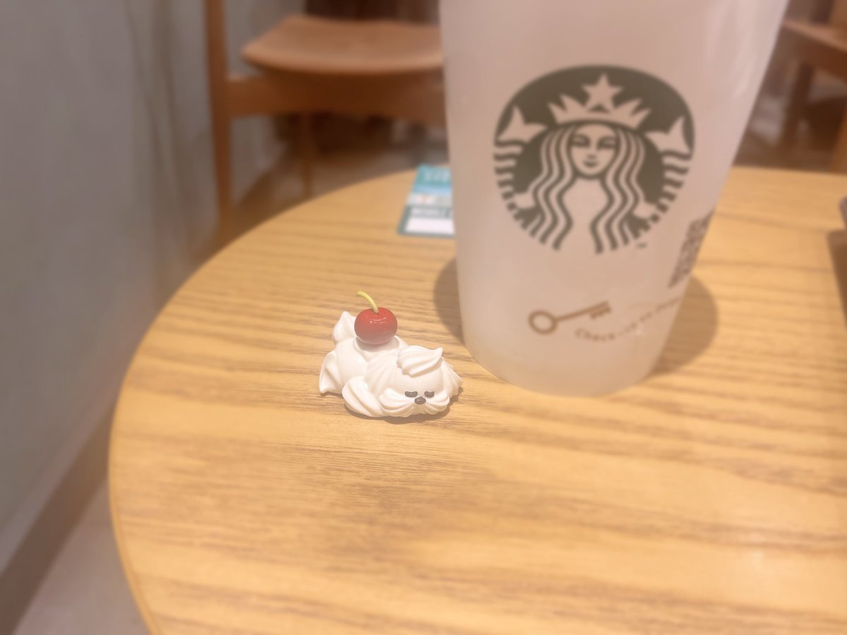 mowasyrup's tweet photo. 出先でかわいいなと思っていたホイップわんちゃんに出会えました🍒🐶あと一息頑張れそう〜 https://t.co/GDwexaIvkw