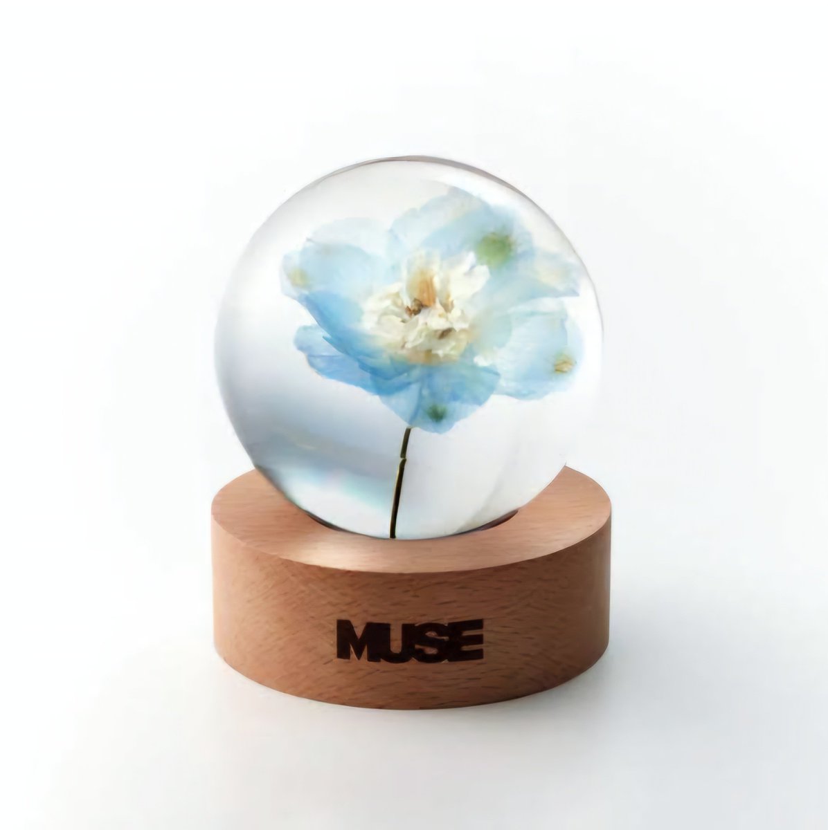 554bts's tweet photo. #지민_뮤즈_1주년축하해
#1YearWithMUSE
#1YearWithWHO
HEARTS WAITING FOR JIMIN
🌷🌺🌼🌸🪷🌹🪻🌻💐
#Smeraldo #스메랄도
#Jimin_MUSE
#Jimin_Who
JIMIN JIMIN
#Jimin #지민 #ジミン https://t.co/yfvyOPdAot