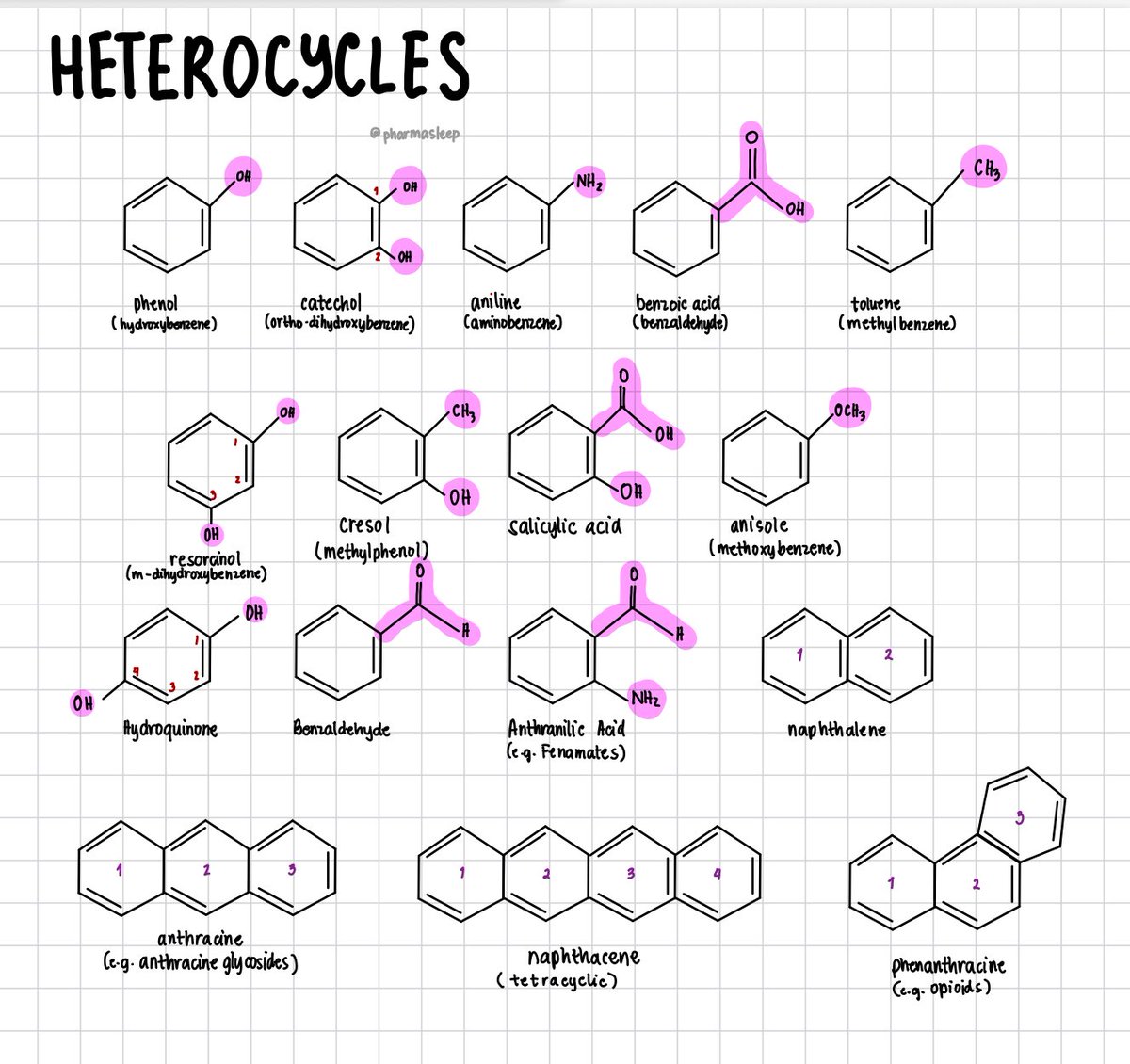 iki 🌸, RPh tweet media