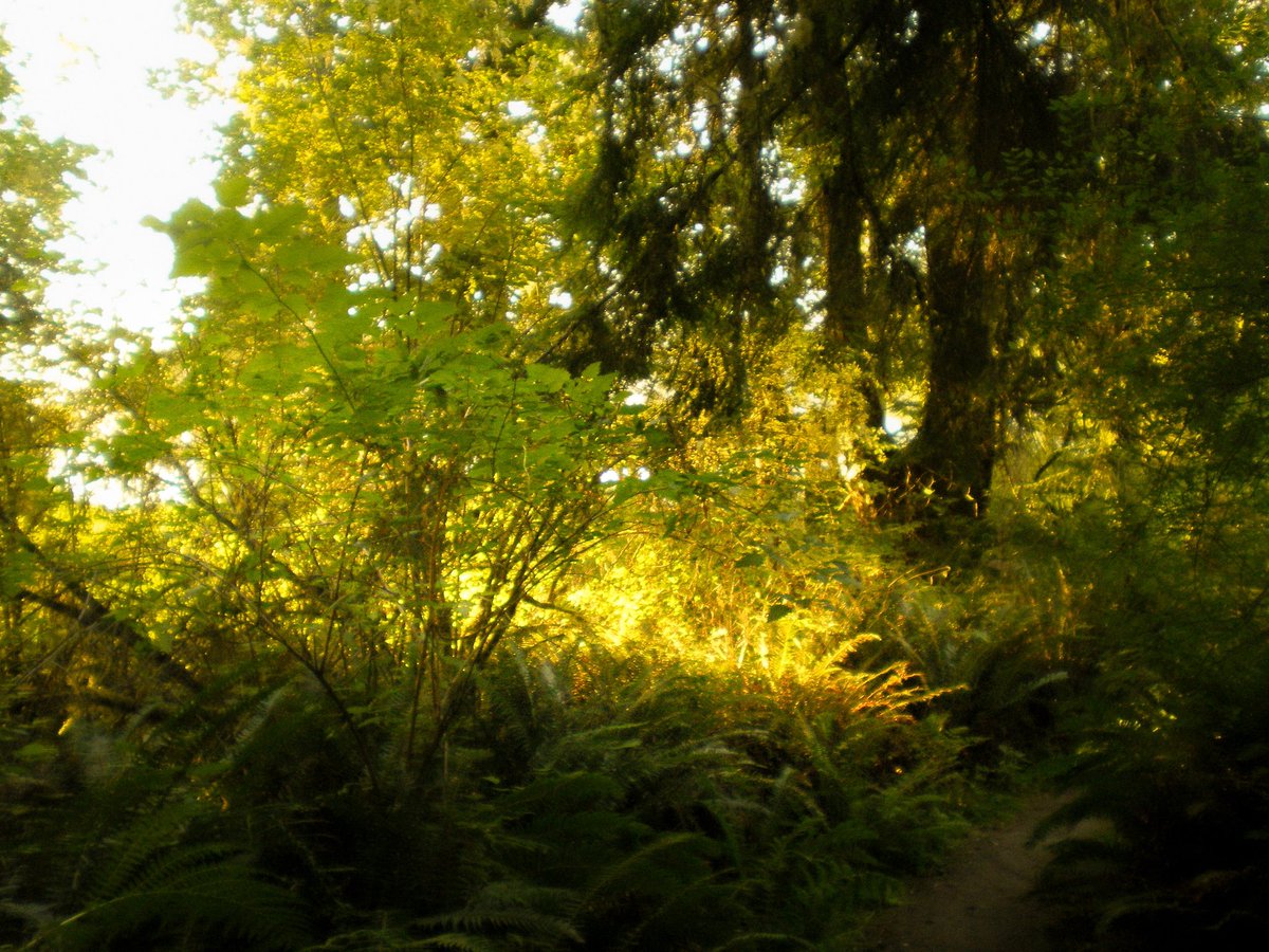 golden hour walk