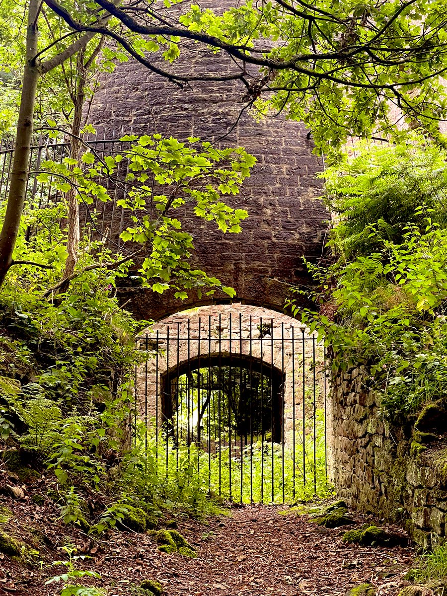 Will_Fuzz's tweet image. Had A brilliant day on Thursday. Hope everyone else did. I was wandering the paths of Lancashire. Discovering new places seldom trod by mortal man. And right on my doorstep.