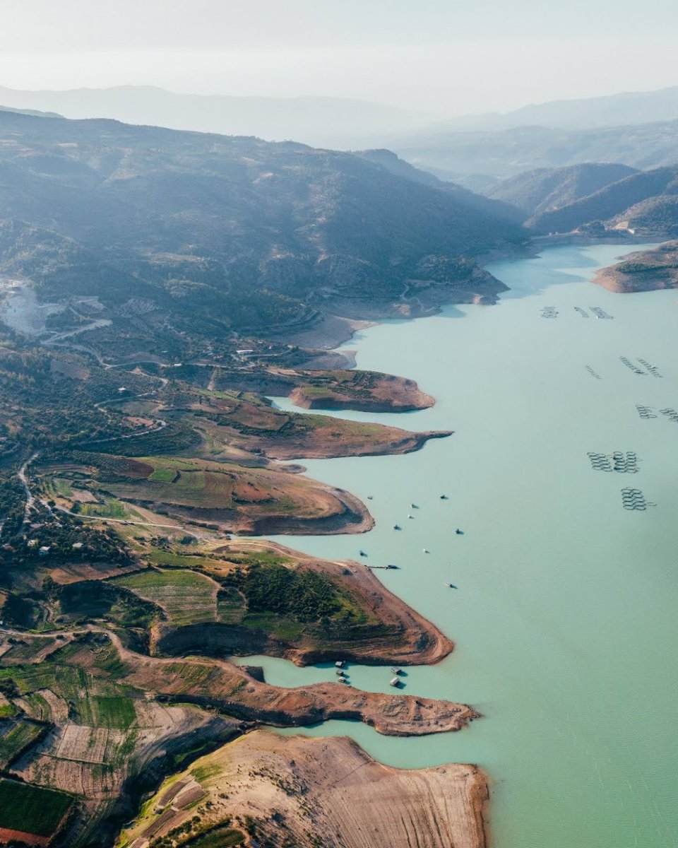 Go Türkiye tweet media