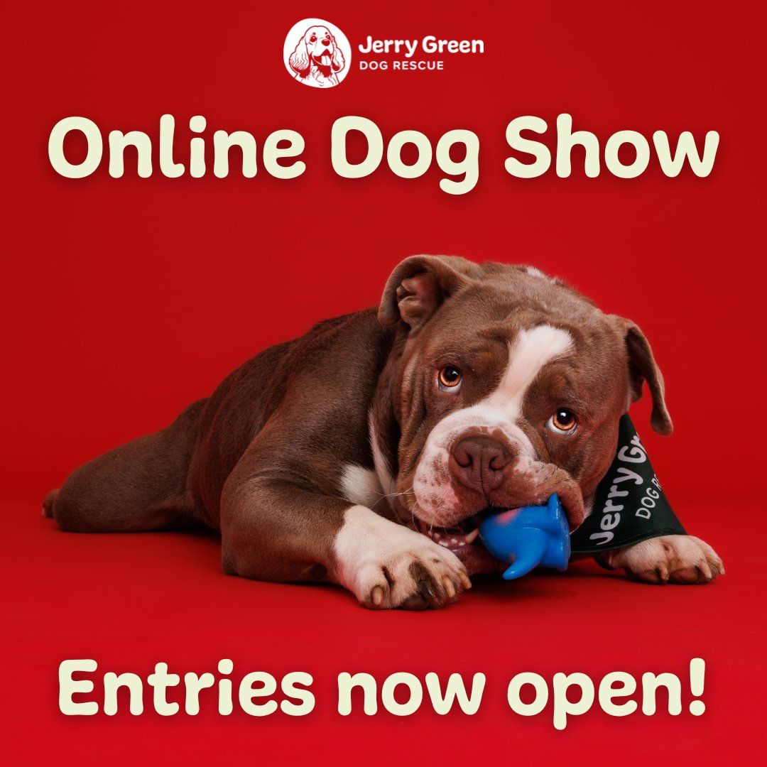 Our Online Dog Show is OPEN! ⭐

Simply head to our website and submit your entries via our quick form! You have until 9pm tomorrow to show us what your pooch truly special. 🐾

jerrygreendogs.org.uk/online-dog-sho…
