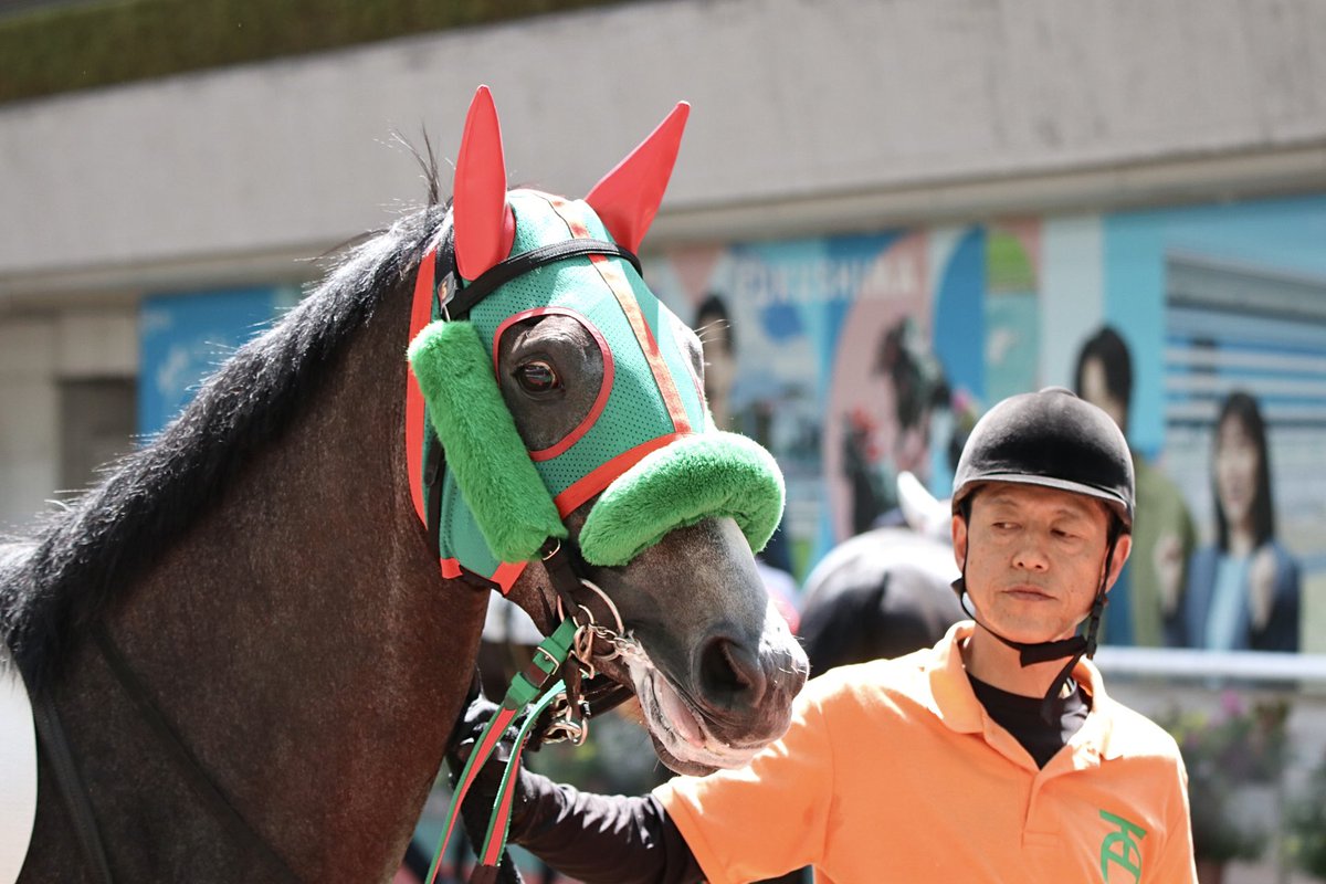 サンタの競馬　ゴールドシップ　デュラメンテ サンタの競馬 ゴールドシップ デュラメンテ