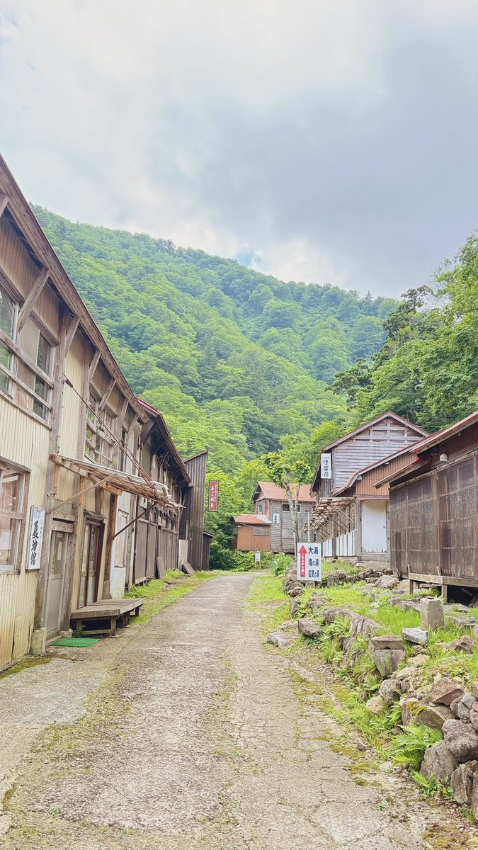 jonimitio's tweet image. 旅情
元湯夏油