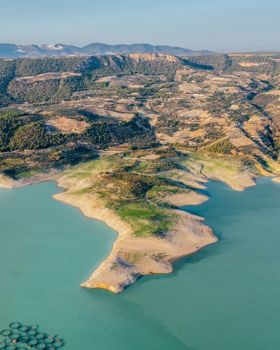 Go Türkiye tweet media