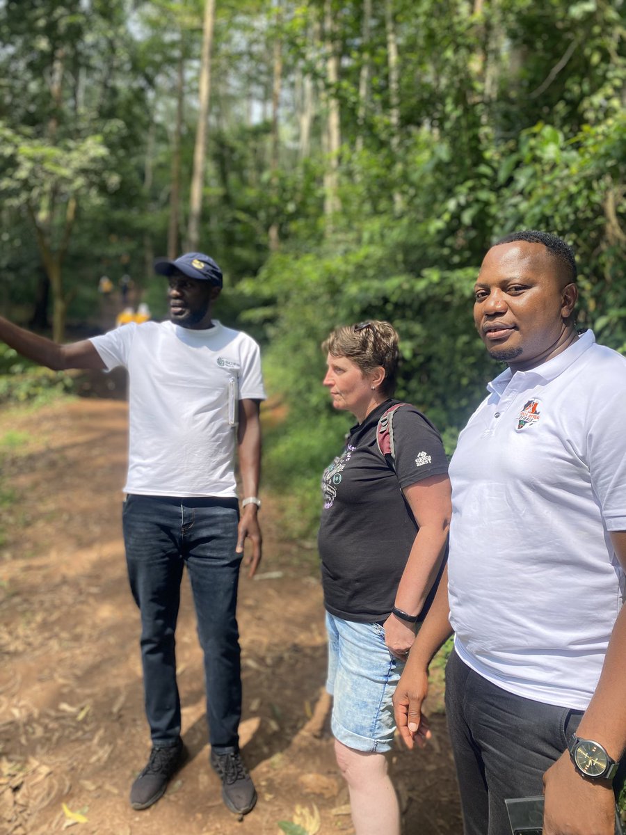 Gilbert Arinda🇺🇬 (@the_ugandan_boy) on Twitter photo Our 08 days thrilling adventure with <a href="/RevealSafari/">Africa Reveal Safaris</a> starts!
Day 01 starts from Sezibwa falls and then to Jinja Our 08 days thrilling adventure with <a href="/RevealSafari/">Africa Reveal Safaris</a> starts!
Day 01 starts from Sezibwa falls and then to Jinja