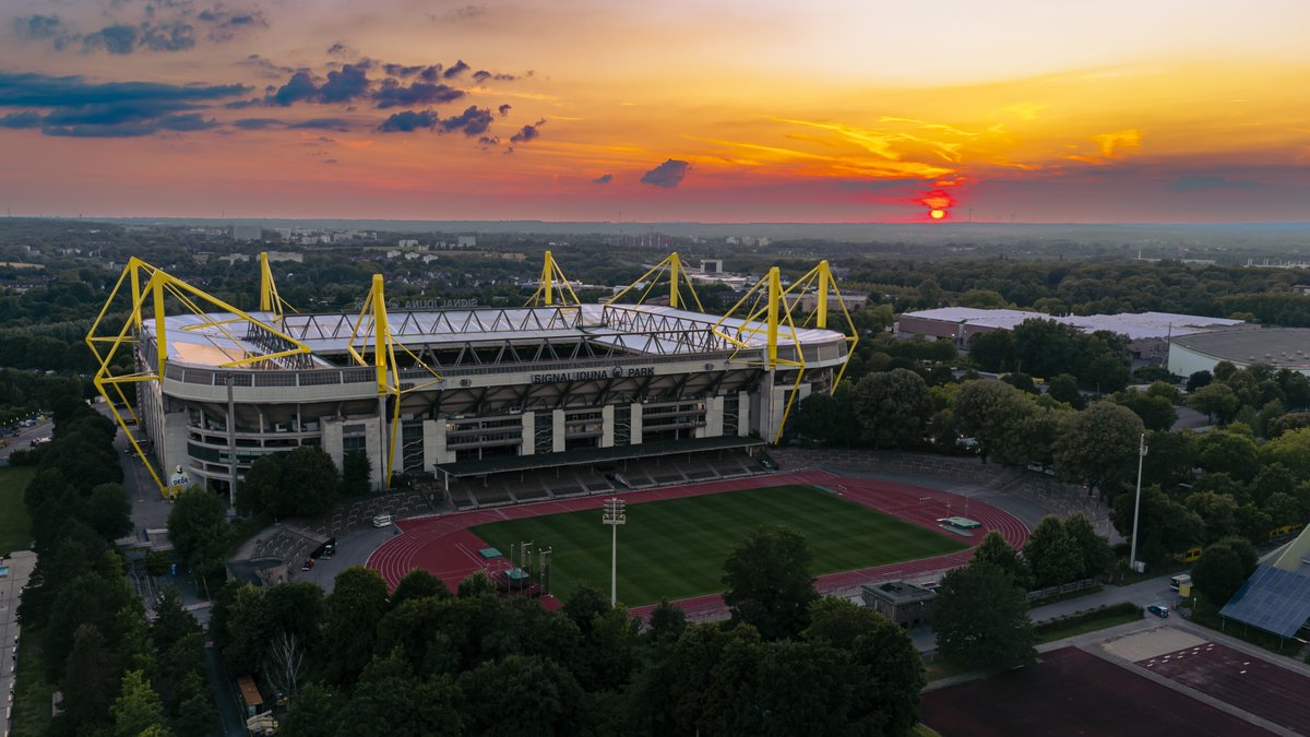 BVB's tweet photo. Home 💛 https://t.co/Fn2Y2XfN5Z