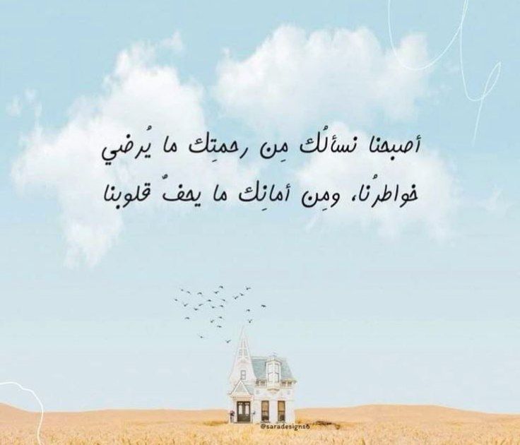 #صباح_الخير_والسعاده 
🌸🩵🤍