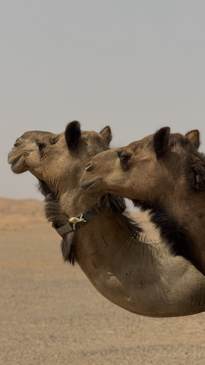 وقتي معك يجبر خـاطري و يرضيُه ♡.