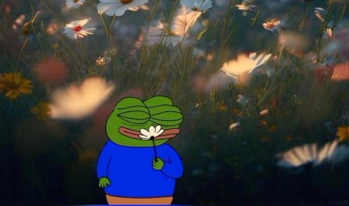 GM CT &amp; Happy weekend to everyone😌

Take that $1k from ur portfolio, touch em grASS, clear em bookmarks, recharge.

Next week, we fire down on <a href="/cysic_xyz/">Cysic</a> 😈

Have a wonderful weekend fren