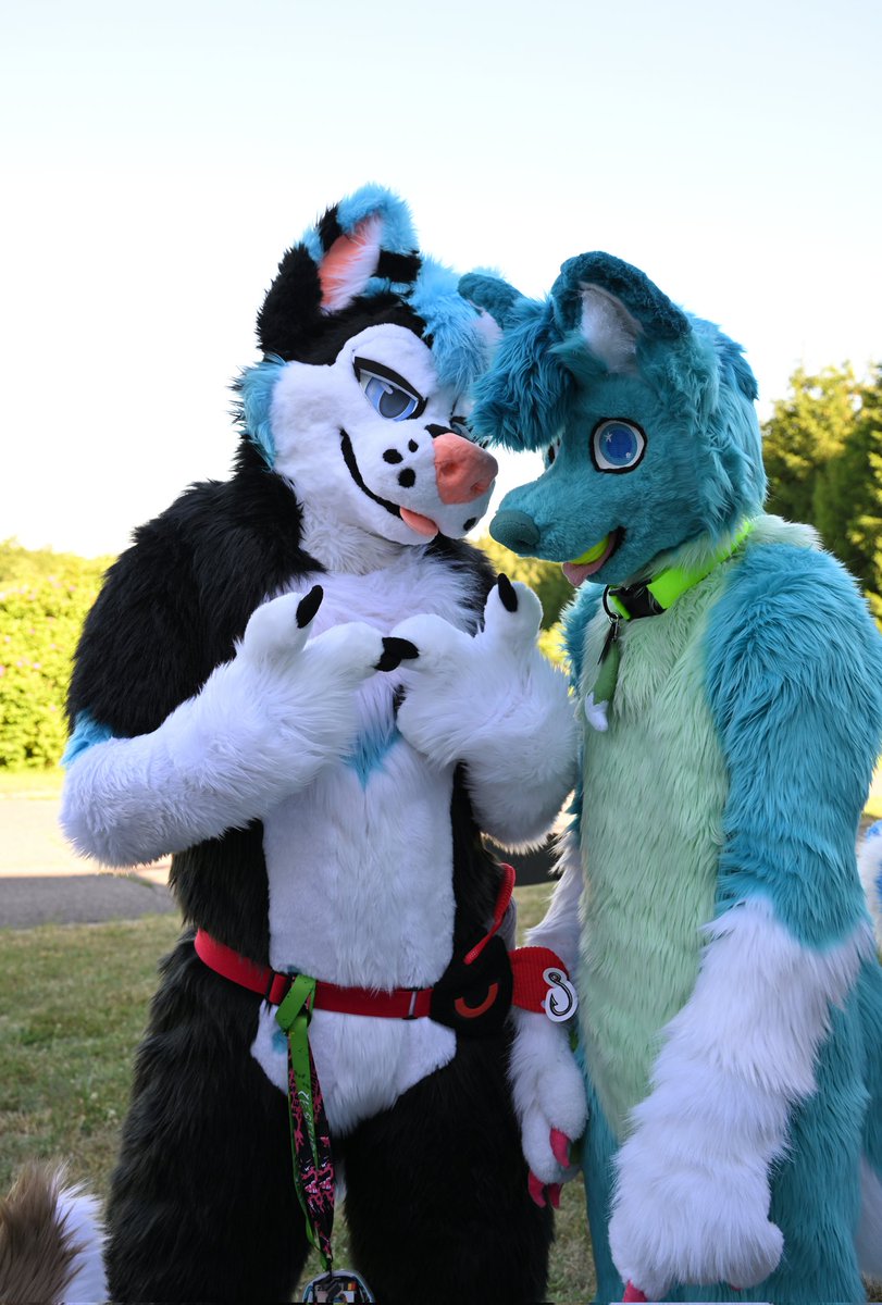mato_husky (@mato_husky) on Twitter photo ๐๐ <a href="/TempestTraxx/">Tempest ๐</a>-> I have an offer for you husky <a href="/mato_husky/">mato_husky</a> ๐๐ ๐๐
๐ท <a href="/littlepawsnep/">Snepรญk Littlepaw</a> ๐ฅฐ
๐งต <a href="/Bambilijas/">Bambilijas</a> + <a href="/RokajTheHusky/">Rokaj ๐EF29,NFC</a> ๐ฅฐ
#FursuitsEveryday
#furry #furrsuit #fursuiter #furryfandom #furries #furryhusky ๐๐ <a href="/TempestTraxx/">Tempest ๐</a>-> I have an offer for you husky <a href="/mato_husky/">mato_husky</a> ๐๐ ๐๐
๐ท <a href="/littlepawsnep/">Snepรญk Littlepaw</a> ๐ฅฐ
๐งต <a href="/Bambilijas/">Bambilijas</a> + <a href="/RokajTheHusky/">Rokaj ๐EF29,NFC</a> ๐ฅฐ
#FursuitsEveryday
#furry #furrsuit #fursuiter #furryfandom #furries #furryhusky