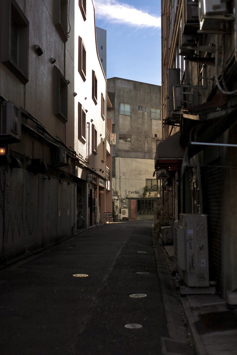 iiroji_bot's tweet image. 