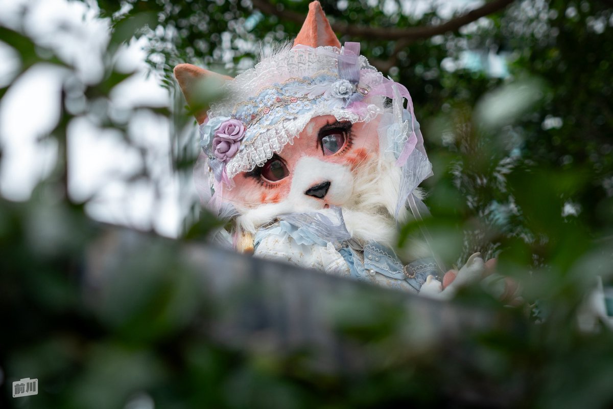 #ここまで成長した