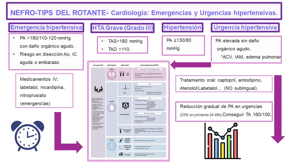 💥💥🩺 Urgencia vs Emergencia hipertensiva:
📈 Si tu presión sube pero estás “bien”, es urgencia.
⚠️ Si ya hay señales de alerta en tu cuerpo, es emergencia.
👀 ¡Ojo! Ambas requieren atención, pero cada una a su manera.Aqui te lo contamos✍️✍️<a href="/SENefrologia/">S.E.N. Nefrología</a> <a href="/SOMANEorg/">Sociedad Madrileña de Nefrología (SOMANE)</a>