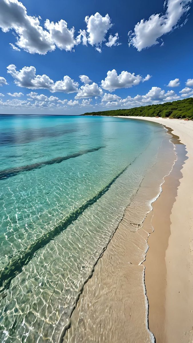 WaterSoul55's tweet image. 