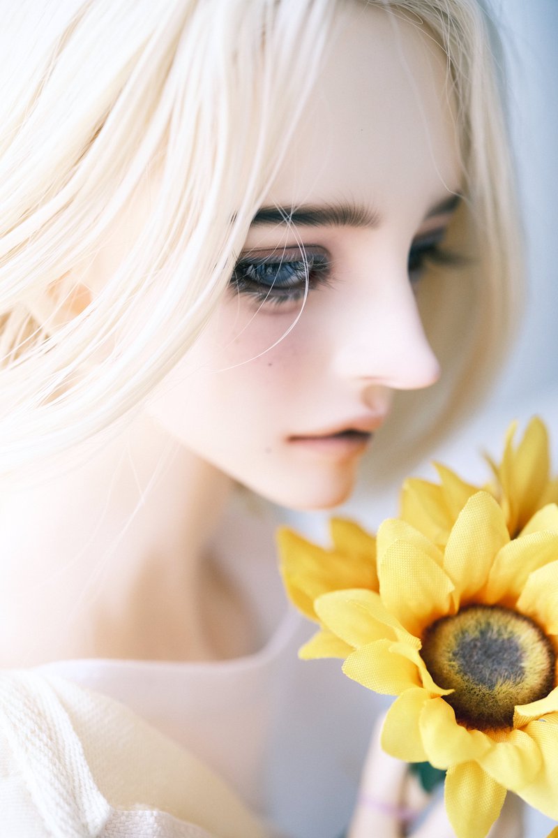 🌻

顔立ち本当に綺麗…(；▽；)

#うちのこかわいい