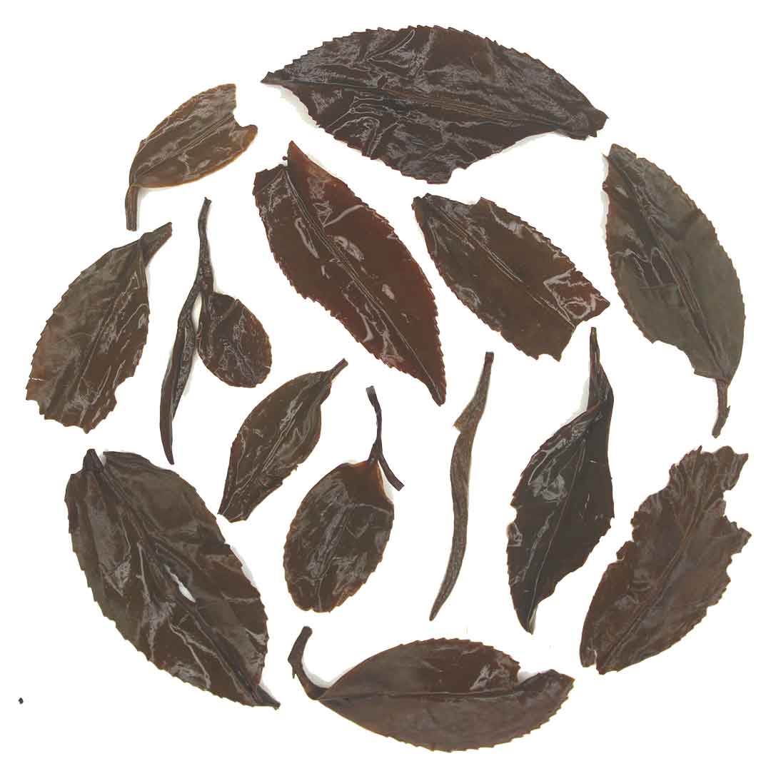 Imperial Plum Muscatel – a rare Second Flush Darjeeling tea with rich Muscatel &amp; Jamun notes. Enjoy this beauty at up to 32% OFF! Shop now at gopaldhara.com and use code FEST at checkout.