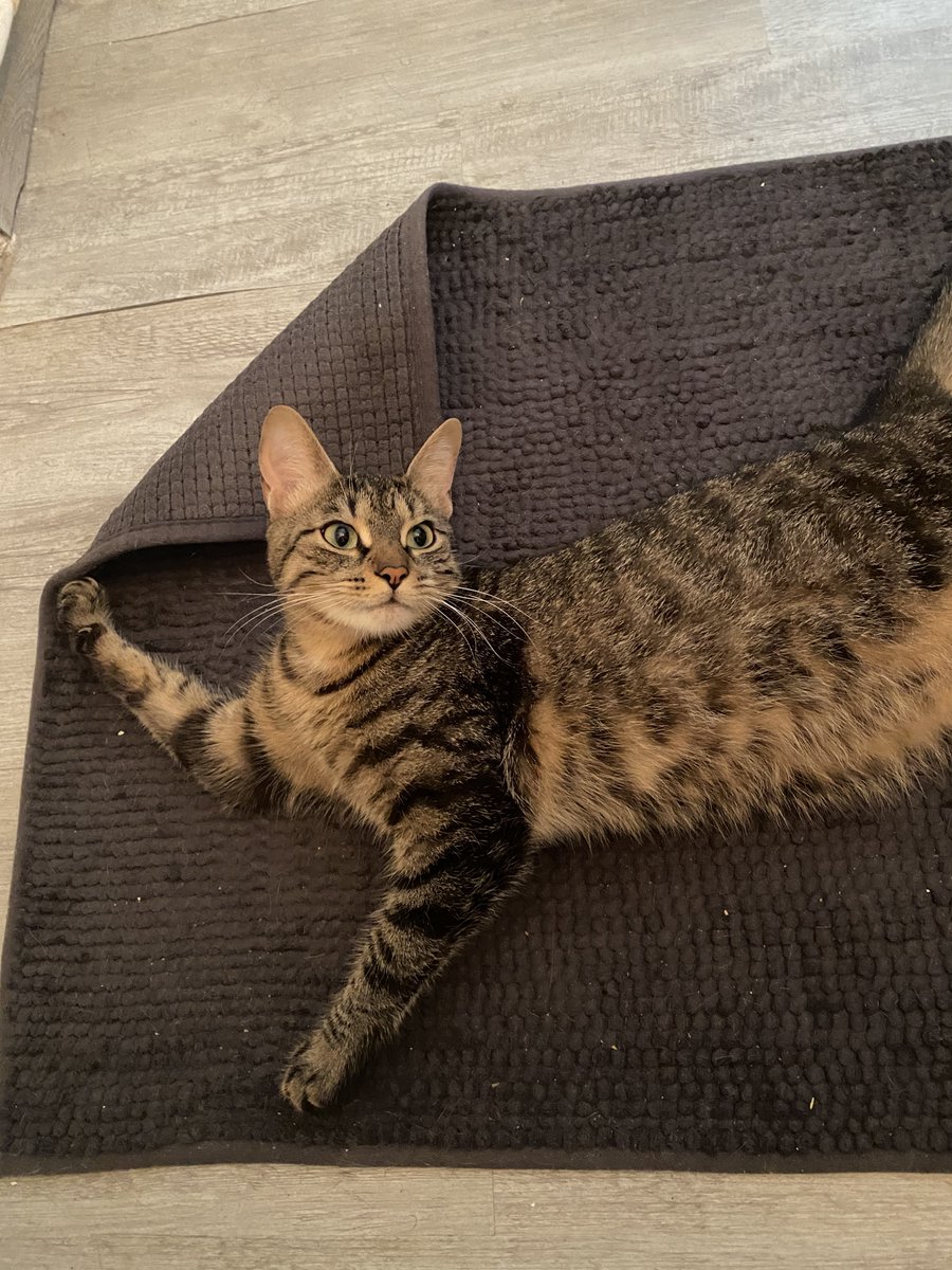 lokimimii's tweet image. tu es tout sourire ce matin mon bébé 🫶