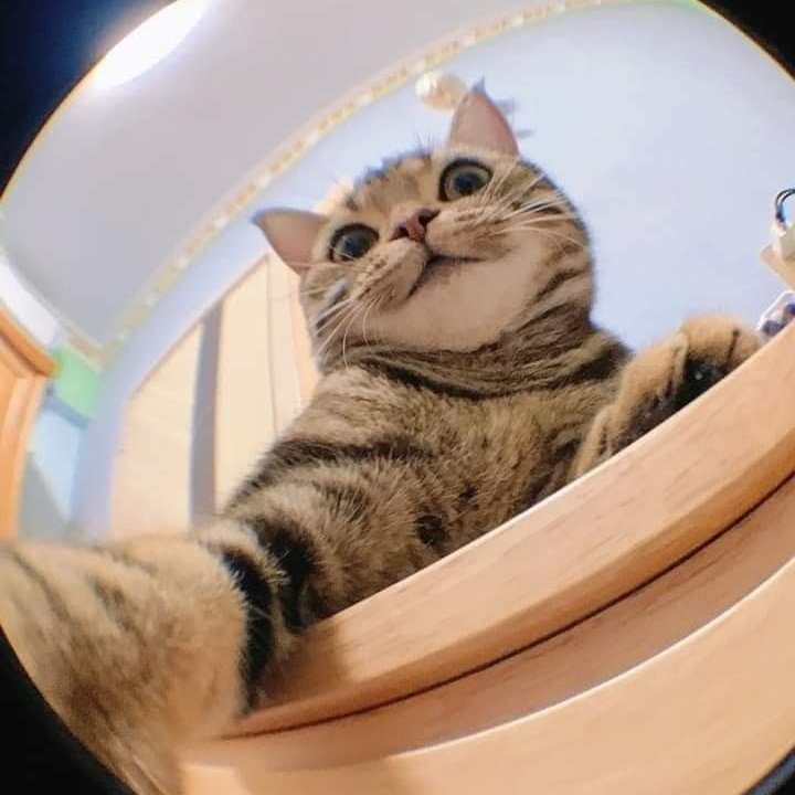 JoniGemilang's tweet photo. #FotoProfilBaru https://t.co/X15GRAML1j