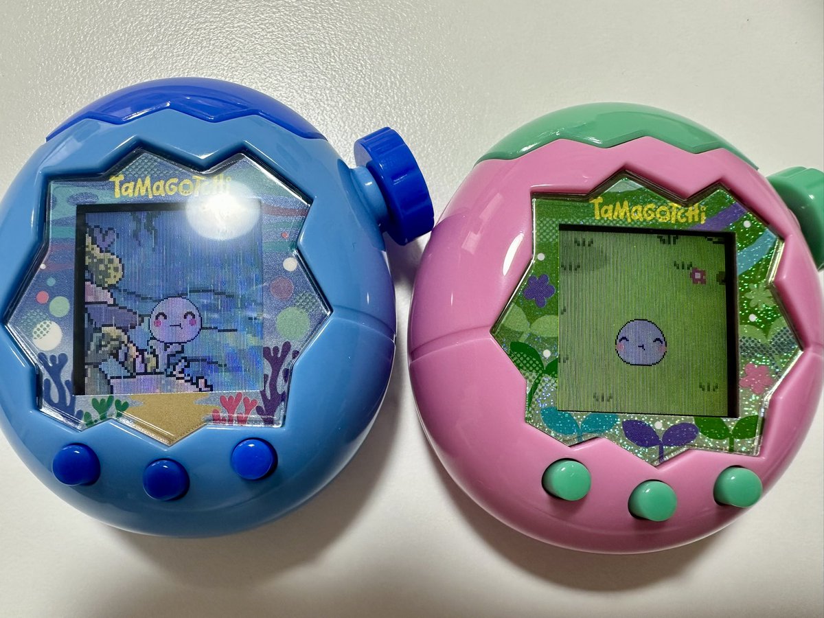 chayo_tmgc's tweet image. ほーほっちの遺伝子が濃い