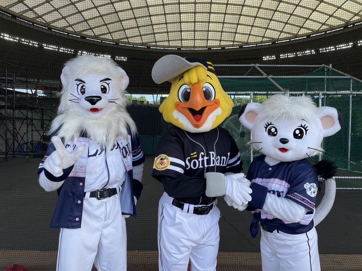 hawksHarry's tweet image. 今日から2日間は、ベルーナドームでビジター応援デー!!
みんなで一緒に盛り上がって行きましょう♪♪
水分補給をしながら応援をしてね!!
みんな、よろしくねー!
#sbhawks