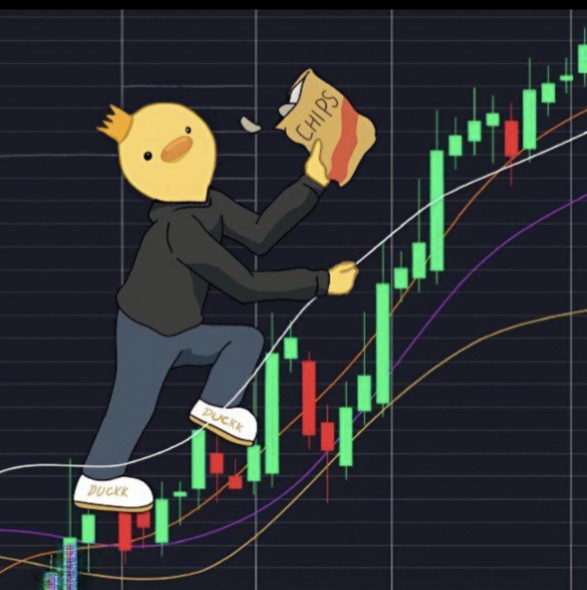 duckk_xrd's tweet image. No doubt $DUCKK is on the up 🚀🚀🚀