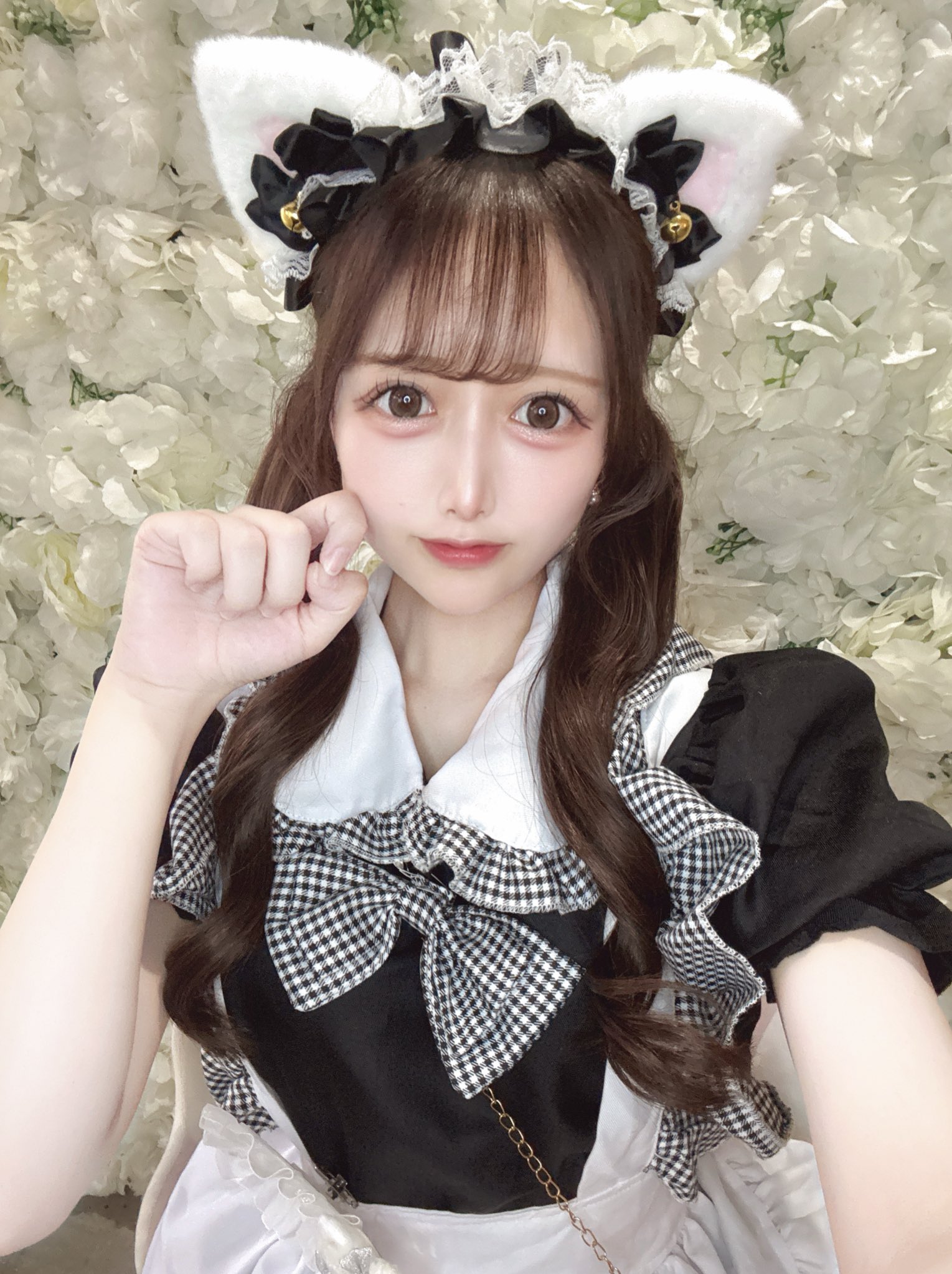♡しめにゃん♡ め い on X: 