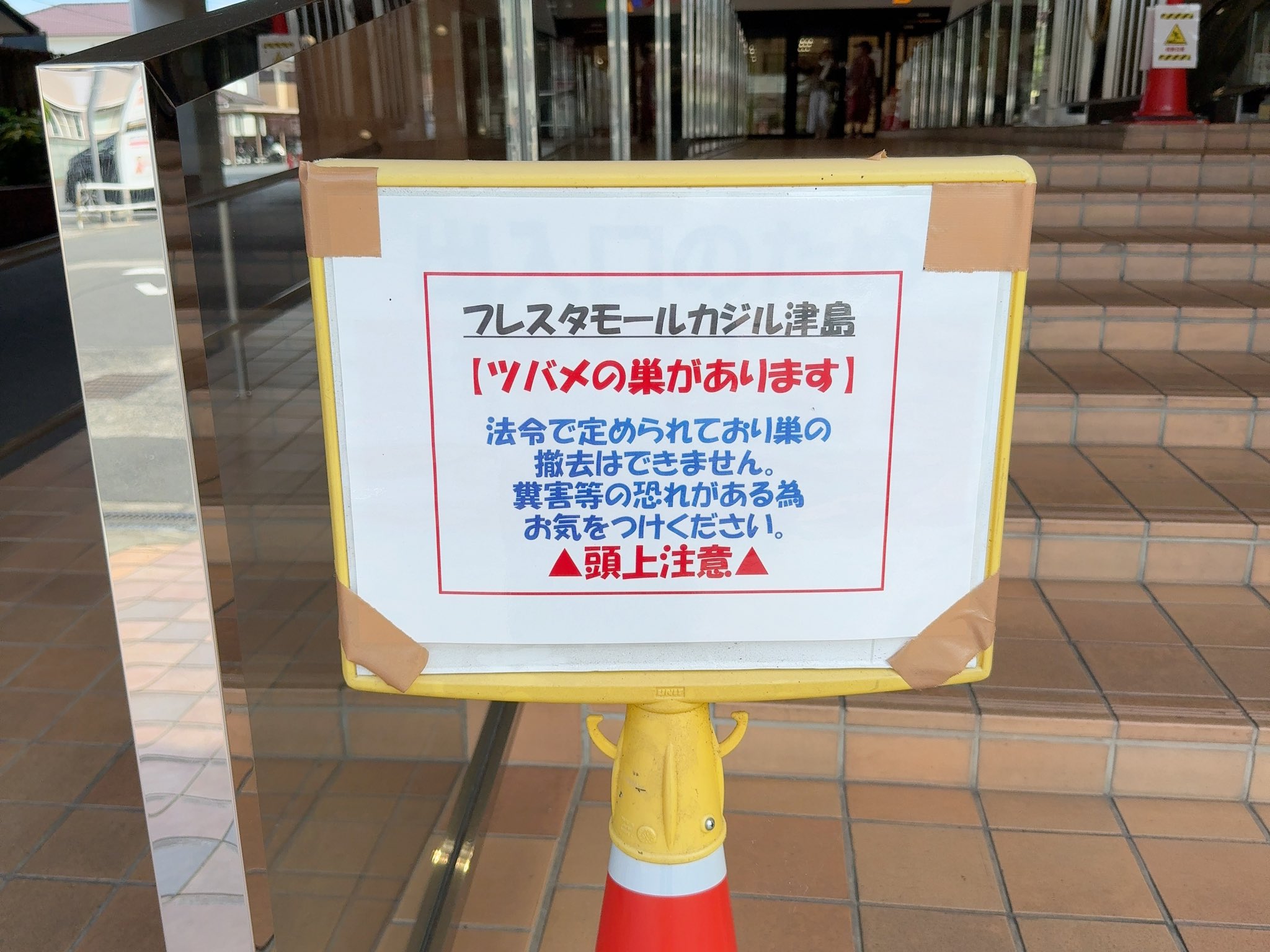 かんちゃん かんちゃん🍊 on X: 