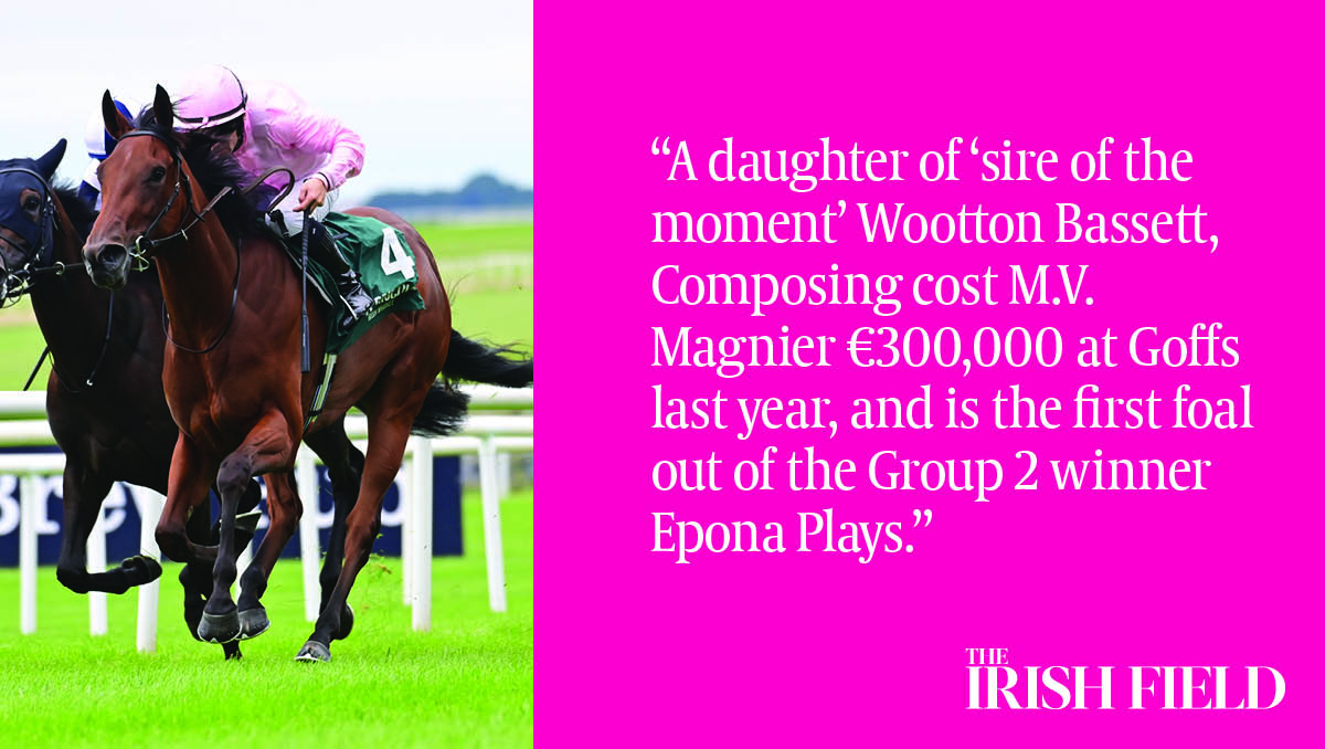 This weekend in The Irish Field, Leo Powell has a look at Aidan O'Brien's amazing record in a specific Curragh maiden race <a href="/PowellLeo/">Leo Powell</a>