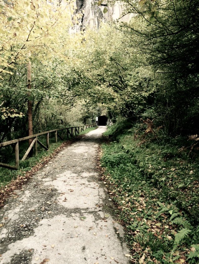 Verano en la senda. #Asturias #vallesdeloso #sendadeloso #SantoAdriano #Proaza #Quirós #Teverga #ParaísoNatural