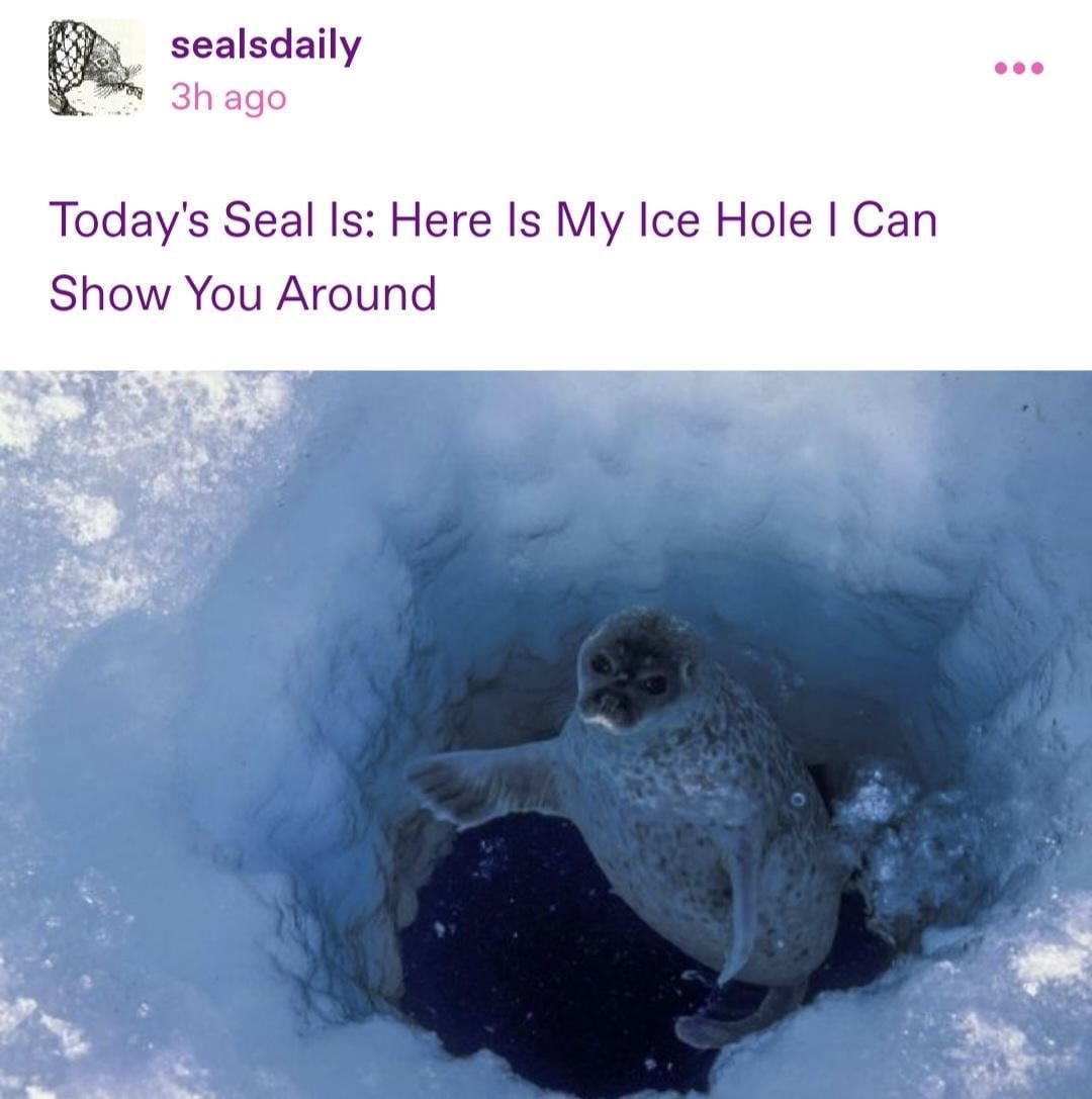 Images AI Could Never Recreate (@imagesaicouldnt) on Twitter photo 