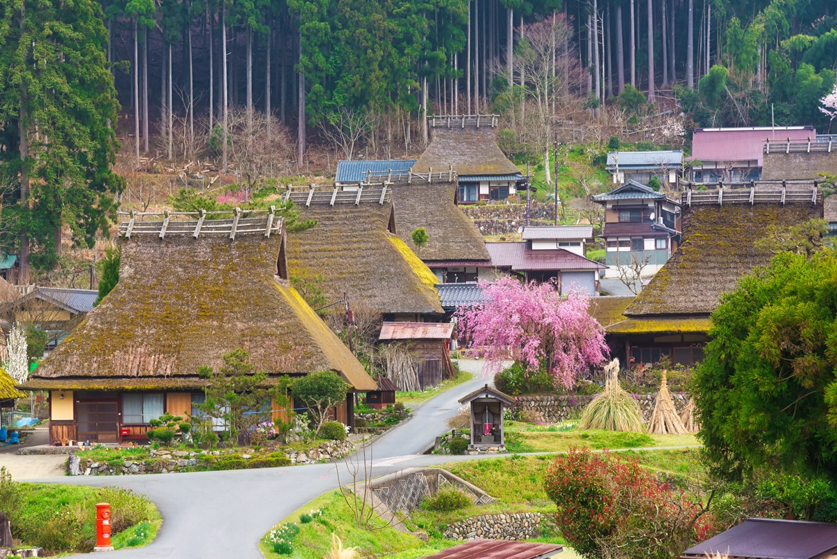 Even within the now ever-crowded confines of Kyoto, you can still find pockets of undisturbed peace. If you’re willing to venture beyond the city limits, you’ll discover hidden gems such as Amanohashidate, the fishing village of Ine, and Kayabuki-no-Sato waiting to be explored.