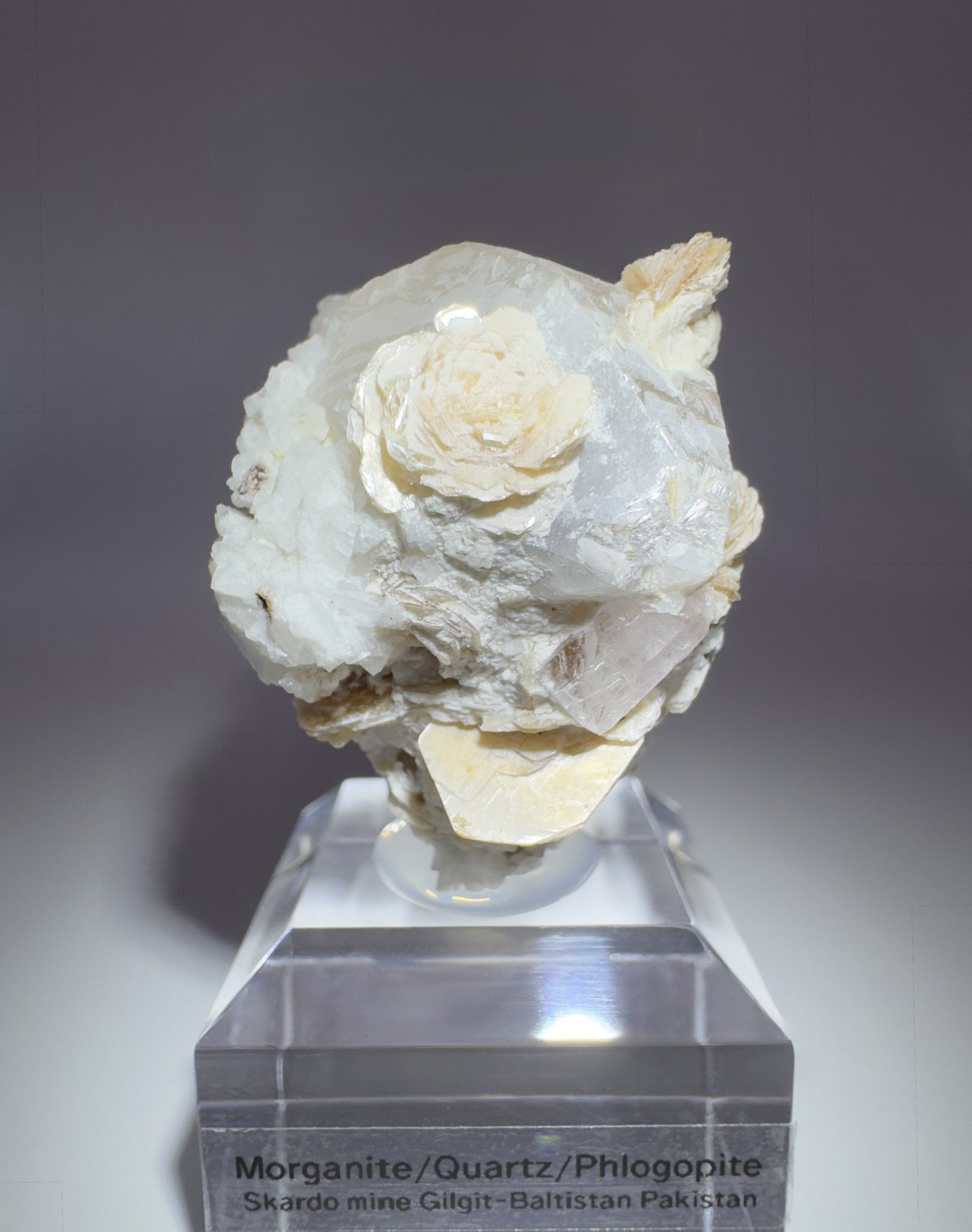 はなやん様★専用★可愛い‼️✡️金蛇石✡️ ステンレス チェーンブレスレット H型 [b741-gold] | お洒落な