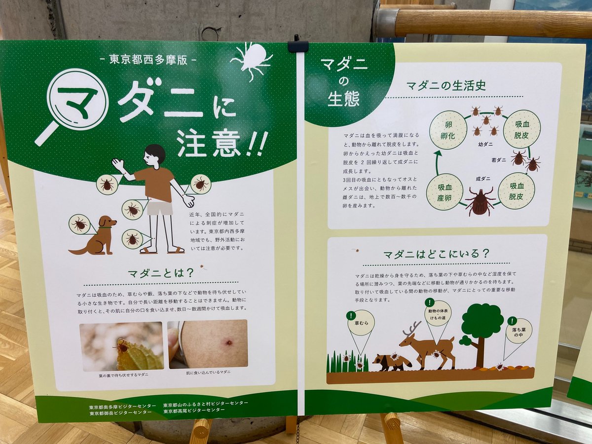 ForestersPRO's tweet image. 以前ビジターセンターに立ち寄った際、こんな展示がありました。
マダニは人獣共通感染症を媒介します。
食いつかれないように注意しましょう。