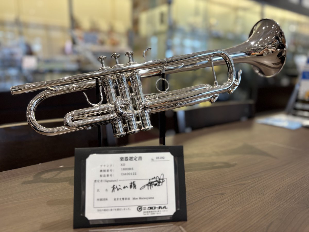 管楽器・吹奏楽器 Giorgianni 2000 Amazon.co.jp: 金メッキフルート C-tune 17 オープンホール