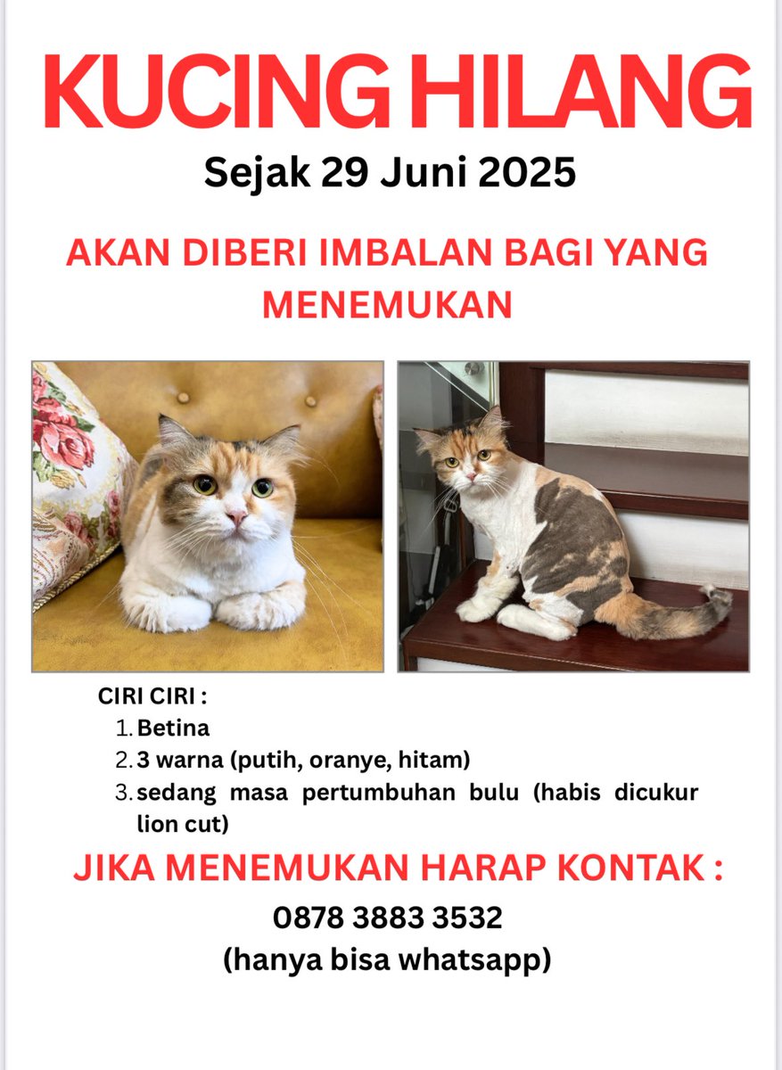 Aku coba post disini ya😭

Kucing HILANG calico betina
Bulunya masih belum full tumbuh masih pendek, agak galak &amp; gasuka digendong

Daerah Setu Cipayung Jakarta Timur

Keyword; ditemukan, missing cat, ilang, nyasar
