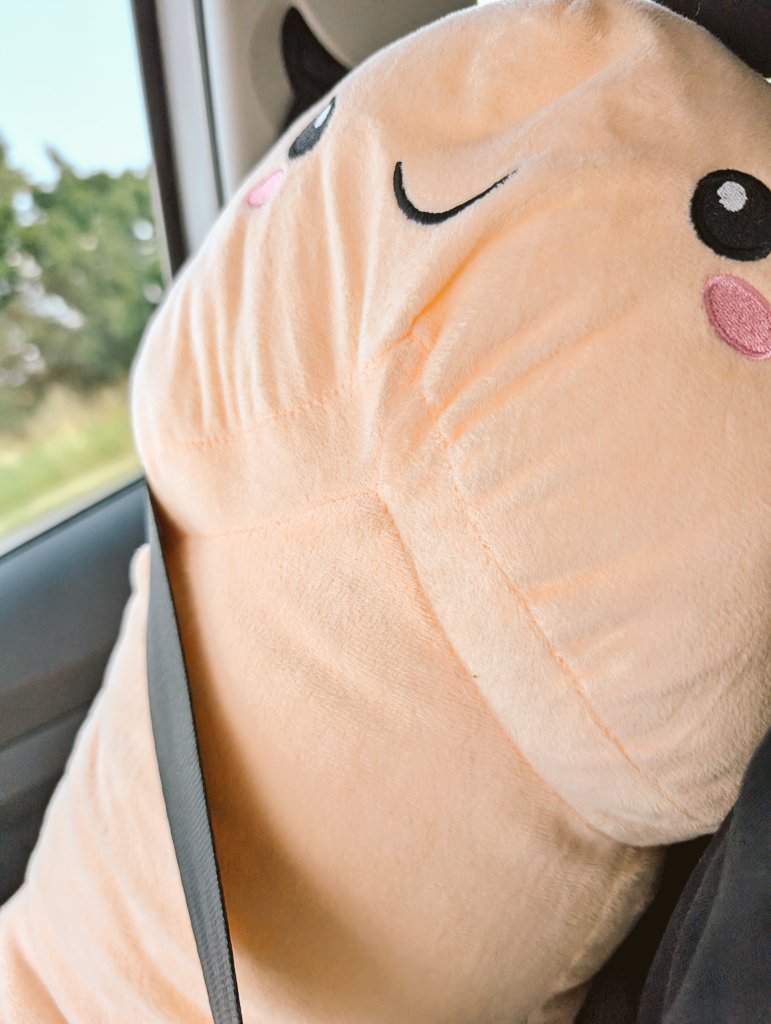 Jinjaowo's tweet image. Es geht looooooooosss 💕